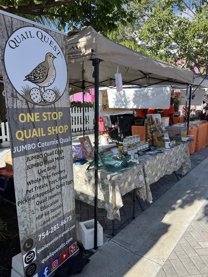Quail Quest
