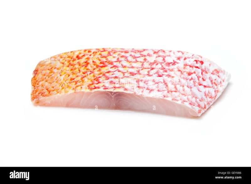 fresh Red Snapper fillet
