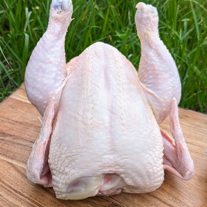 Pasture Raised Chicken