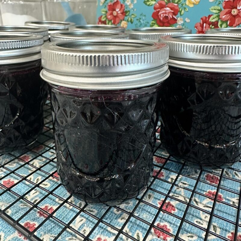 Blueberry Jam from Barnstable Acres
