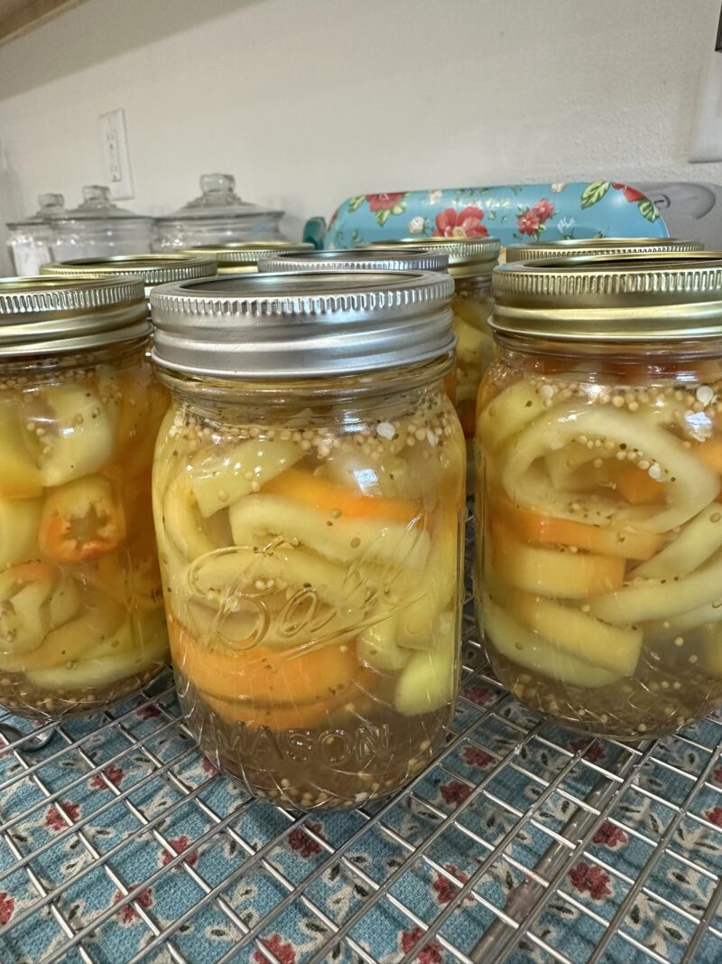 Pickled Carrots, Green Beans, Banana Peppers (Pint) - Image 3