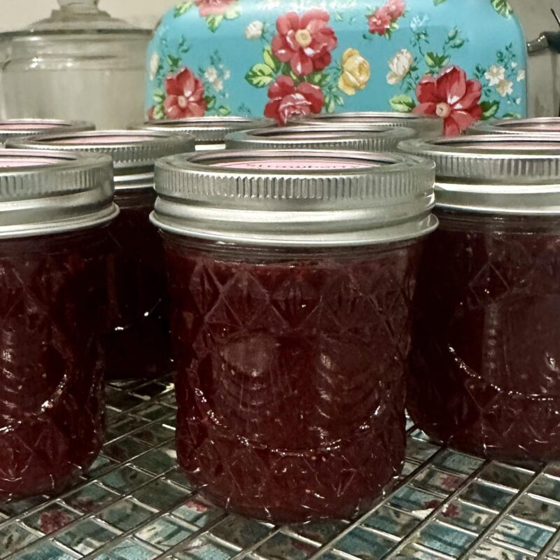 Strawberry Cranberry Jam from Barnstable Acres