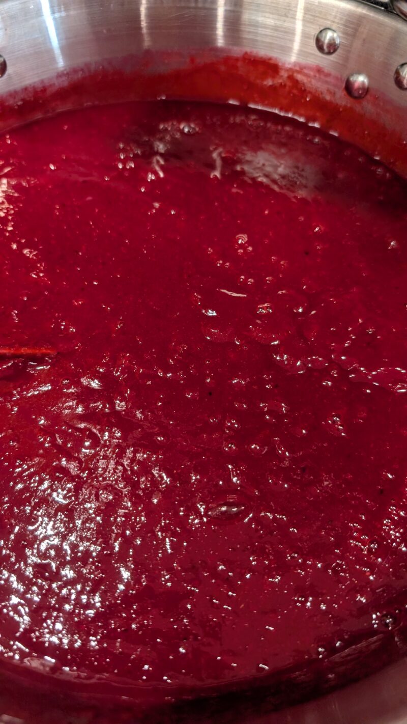 Blueberry Hibiscus Jam